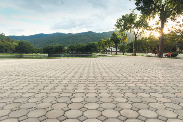Best Residential Driveway Paver Services  in Oelwein, IA